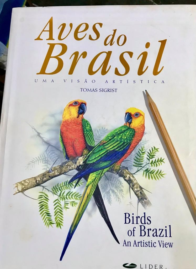 O livro do Tomas Sigrist 