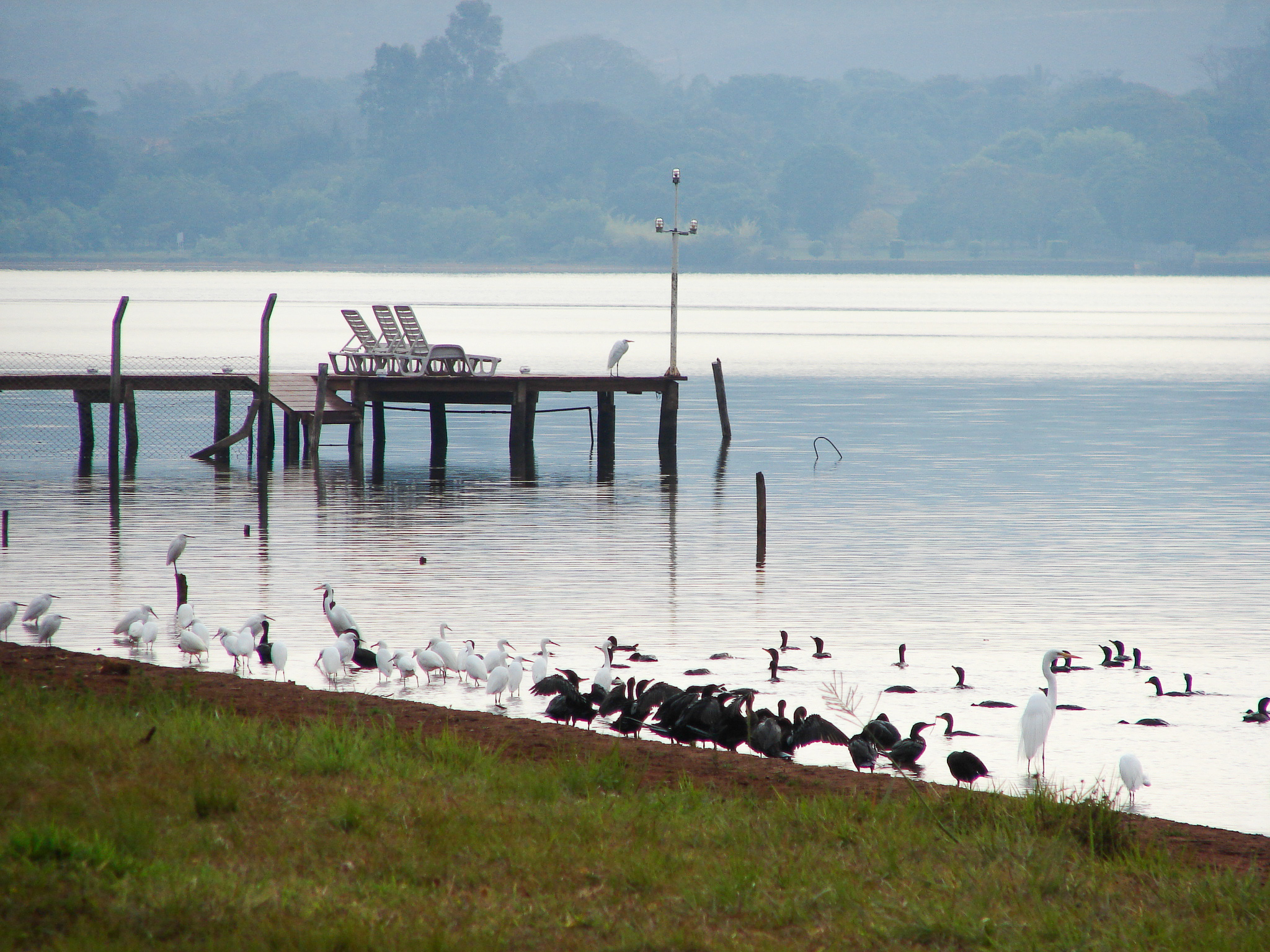 Parque das Garças - Brasília DF